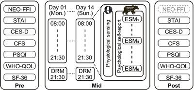 Emodiversity evaluation of remote workers through health monitoring based on intra-day emotion sampling